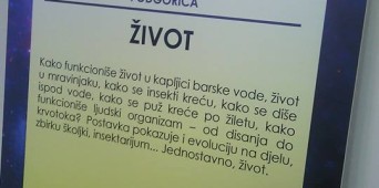 Noć Istraživača