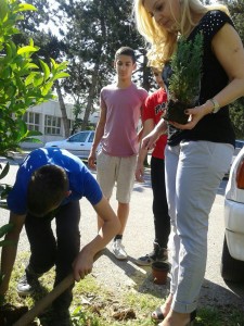 image-0cbd56bbd87e36aac364c876d8e3ae6f65d521542d62ad93ba6f57e38415d6c6-V