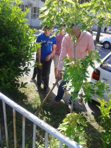 image-c5f08fb8b139c5373fb3358512d77a7312a62f9b4a478eae7b3417d6b280304e-V