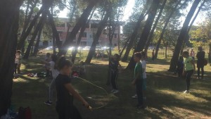 IMG-a01b4a3d11271aa3f6c847d83034dd39-V