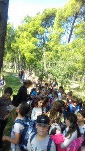 IMG-e8fdad371c0f42cbc3b8faba92be7838-V