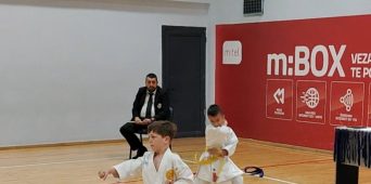 ЧЕТИРИ ОДЛИЧЈА У КАРАТЕУ