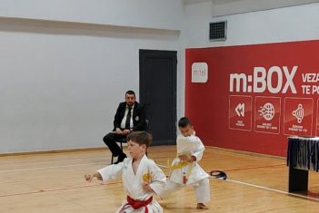 ЧЕТИРИ ОДЛИЧЈА У КАРАТЕУ