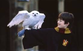 Preduzetnički čas: Hari Poter i kamen mudrosti