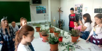 Otvoreni dani nauke – oktobar 2017