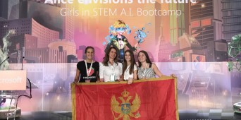 Alisina vizija budućnosti,Vještačka inteligencija-kamp 2018