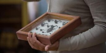 Kampanja o biodiverzitetu EU Info Centra „I ja sam sa vama“ i promocija sajta biodiverzitet.me u našoj školi