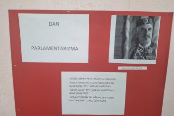 Dan parlamentarizma