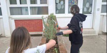 Uređivanje dvorišta