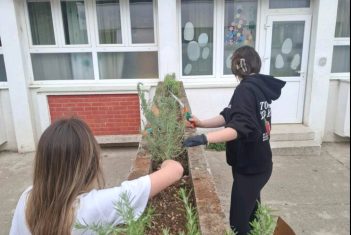 Uređivanje dvorišta