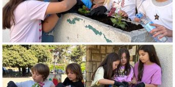 Kad zajedništvo procvjeta