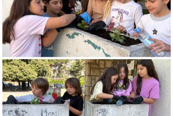 Kad zajedništvo procvjeta