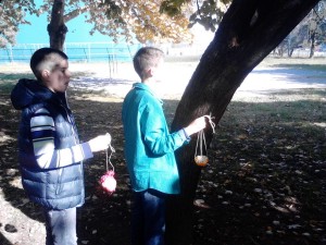 Priprema hranilica za ptice radionica sa Centrom za zaštitu i proučavanje ptica CZIP  NOVEMBAR 2014