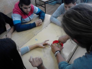 Priprema hranilica za ptice radionica sa Centrom za zaštitu i proučavanje ptica CZIP  NOVEMBAR 2014