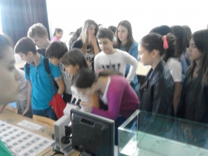 Štandovi škole na Danima nauke Biologija i Fizika