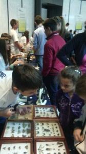 Štandovi škole na Danima nauke Biologija i Fizika