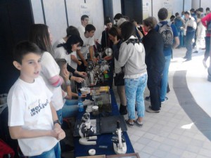 Noć istraživača eksperimenti i zbirke Fizika Biologija 2014 godine