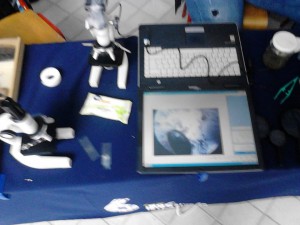 Noć istraživača eksperimenti i zbirke Fizika Biologija 2014 godine