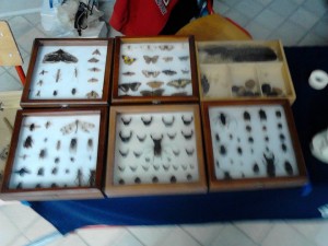 Noć istraživača eksperimenti i zbirke Fizika Biologija 2014 godine